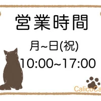 画像291
