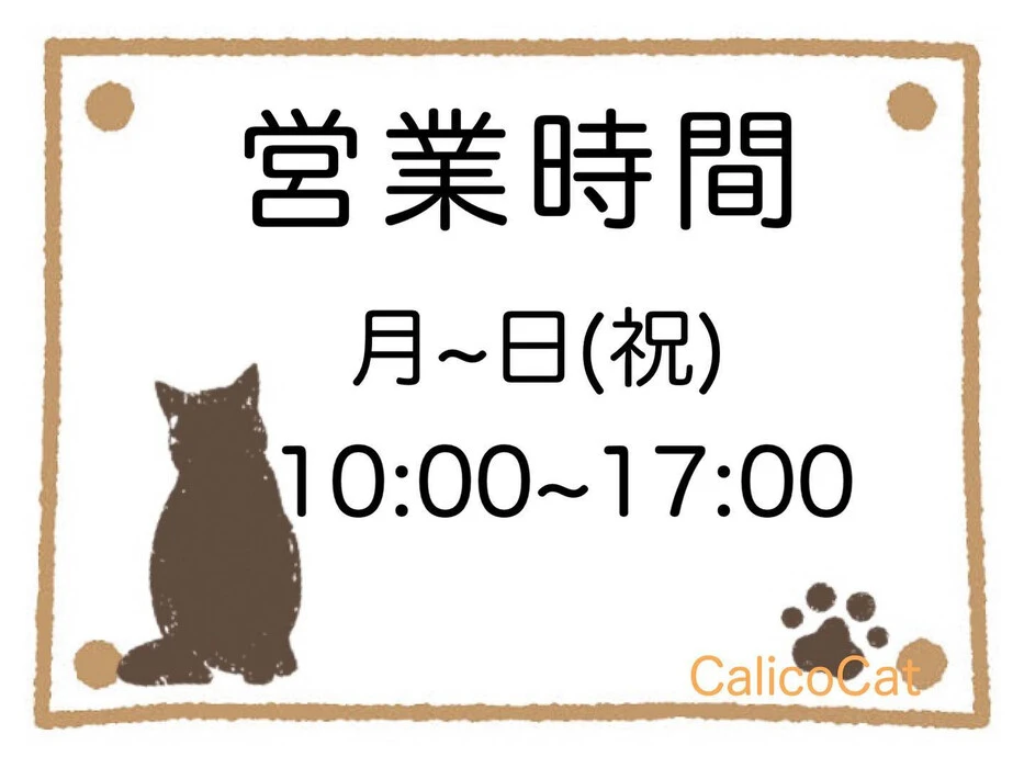 画像291